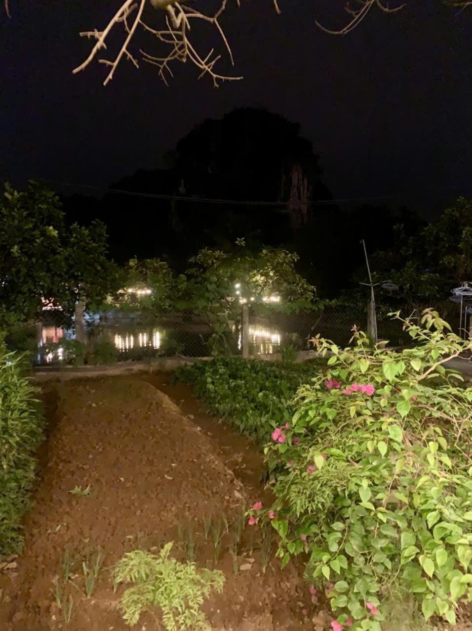 Blue Garden Homestay Ninh Binh Exterior foto