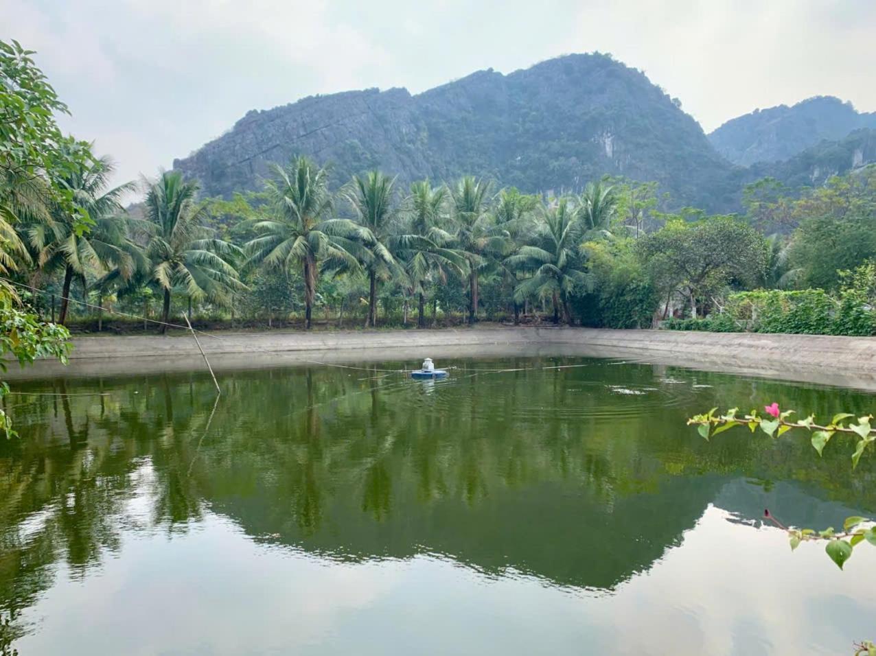 Blue Garden Homestay Ninh Binh Exterior foto