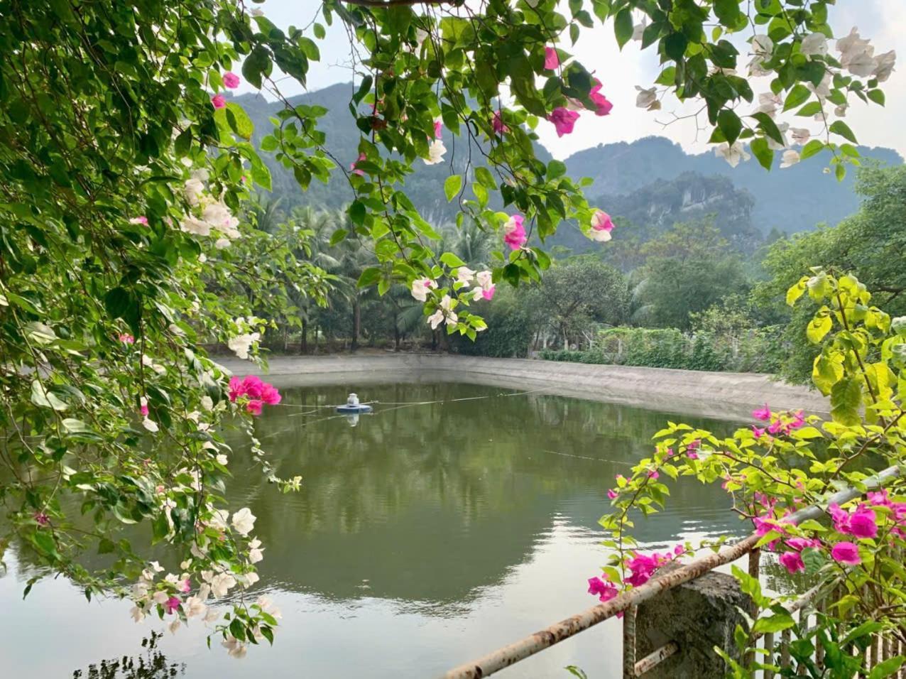 Blue Garden Homestay Ninh Binh Exterior foto
