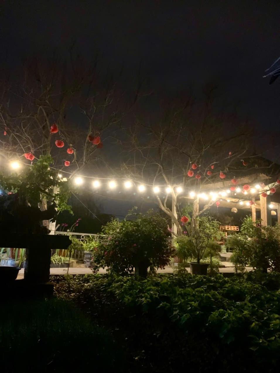 Blue Garden Homestay Ninh Binh Exterior foto