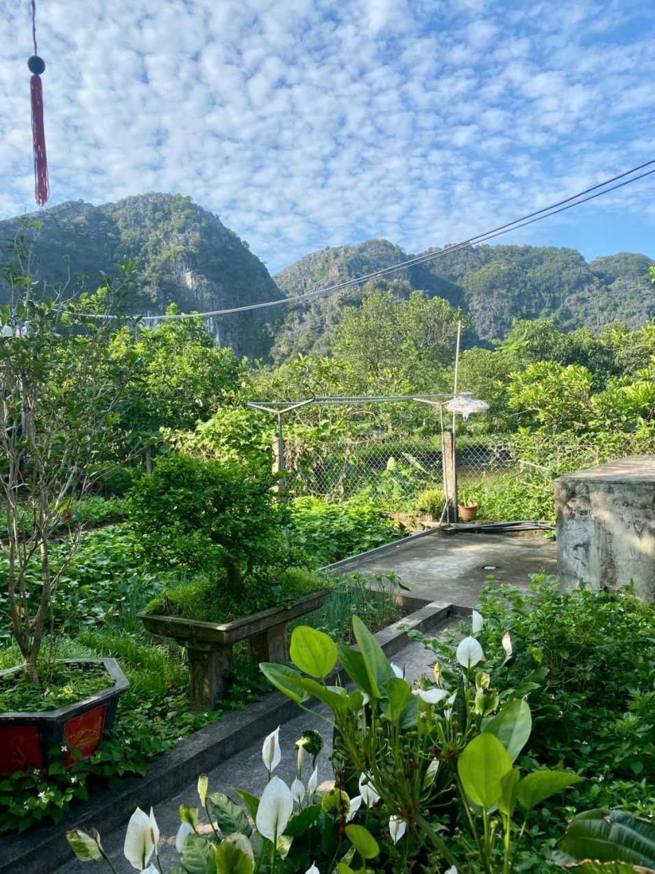 Blue Garden Homestay Ninh Binh Exterior foto